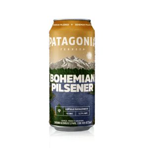 Patagonia Bohemian Pack 24